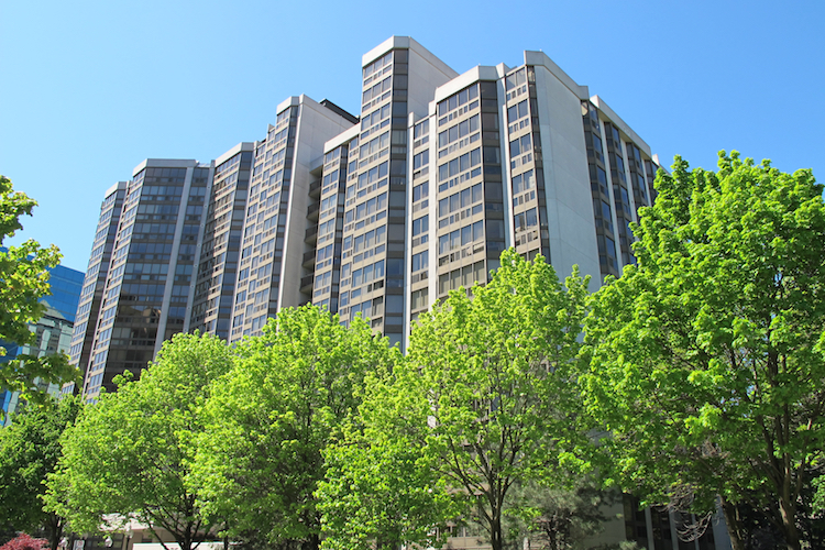 Summer View